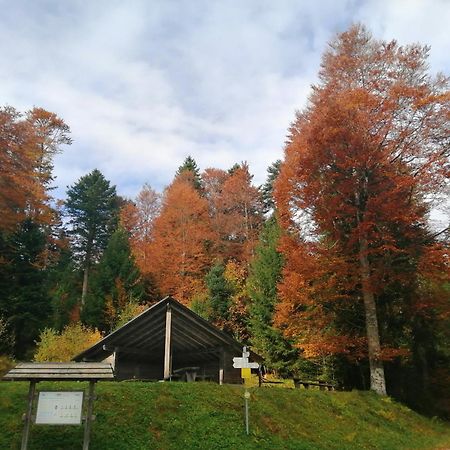 Hotel am Kurpark Todtmoos Bagian luar foto
