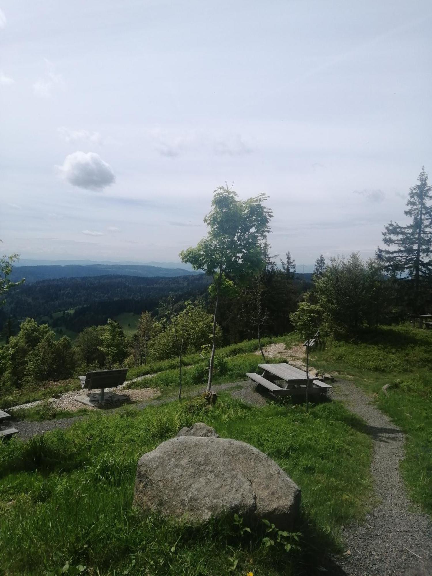 Hotel am Kurpark Todtmoos Bagian luar foto