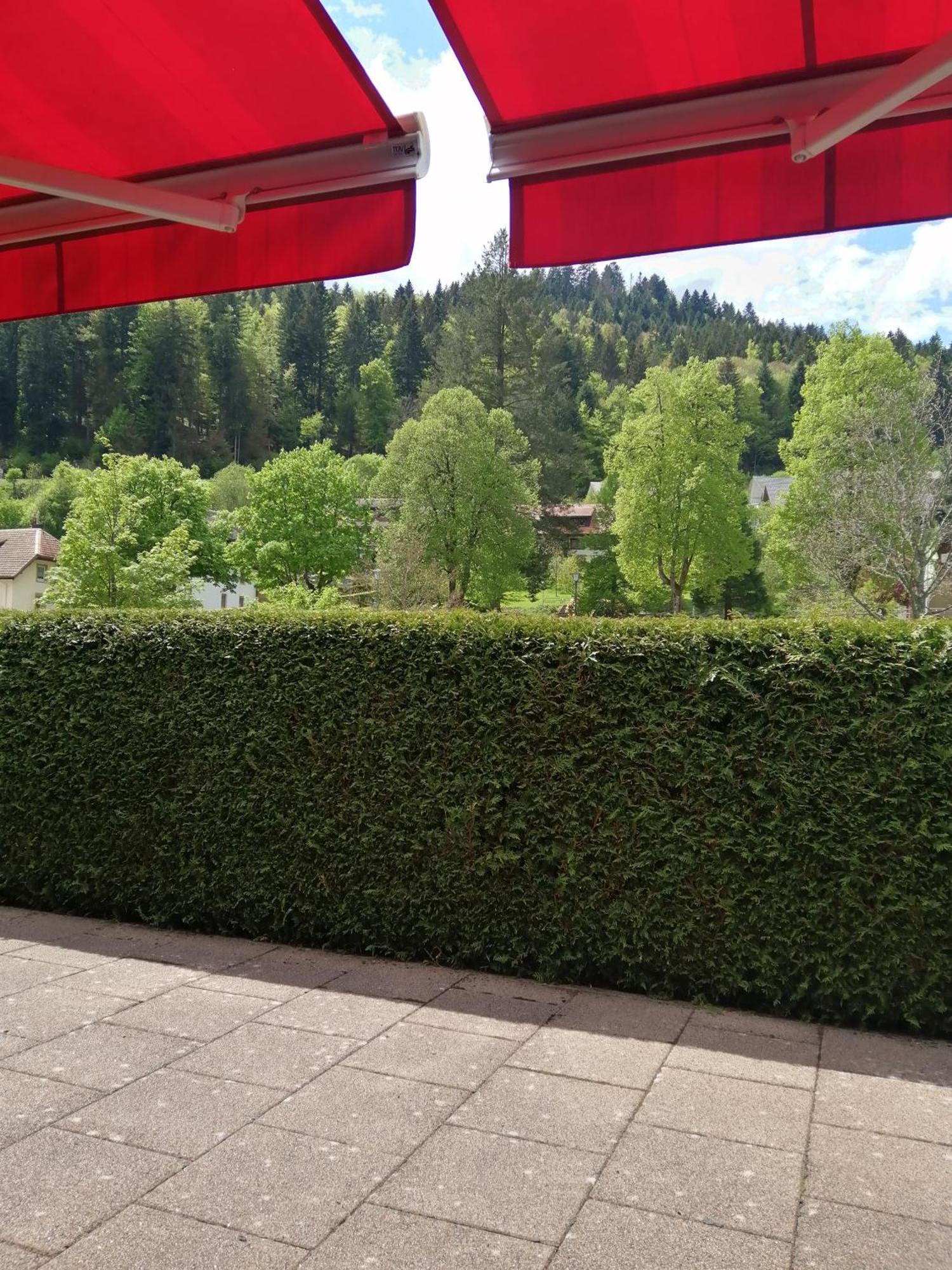 Hotel am Kurpark Todtmoos Bagian luar foto