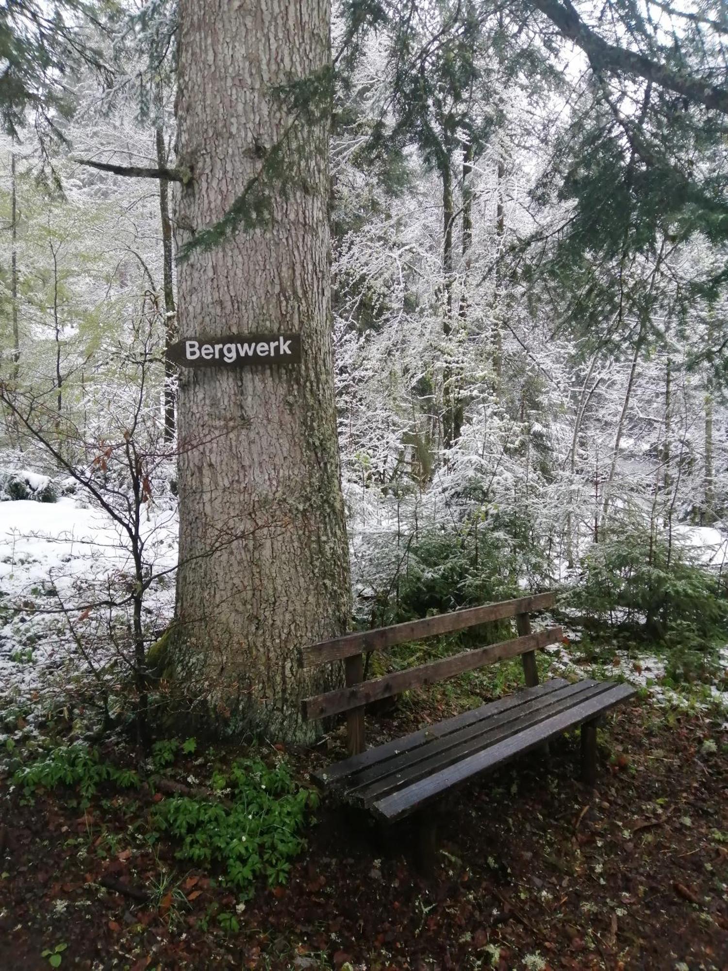 Hotel am Kurpark Todtmoos Bagian luar foto
