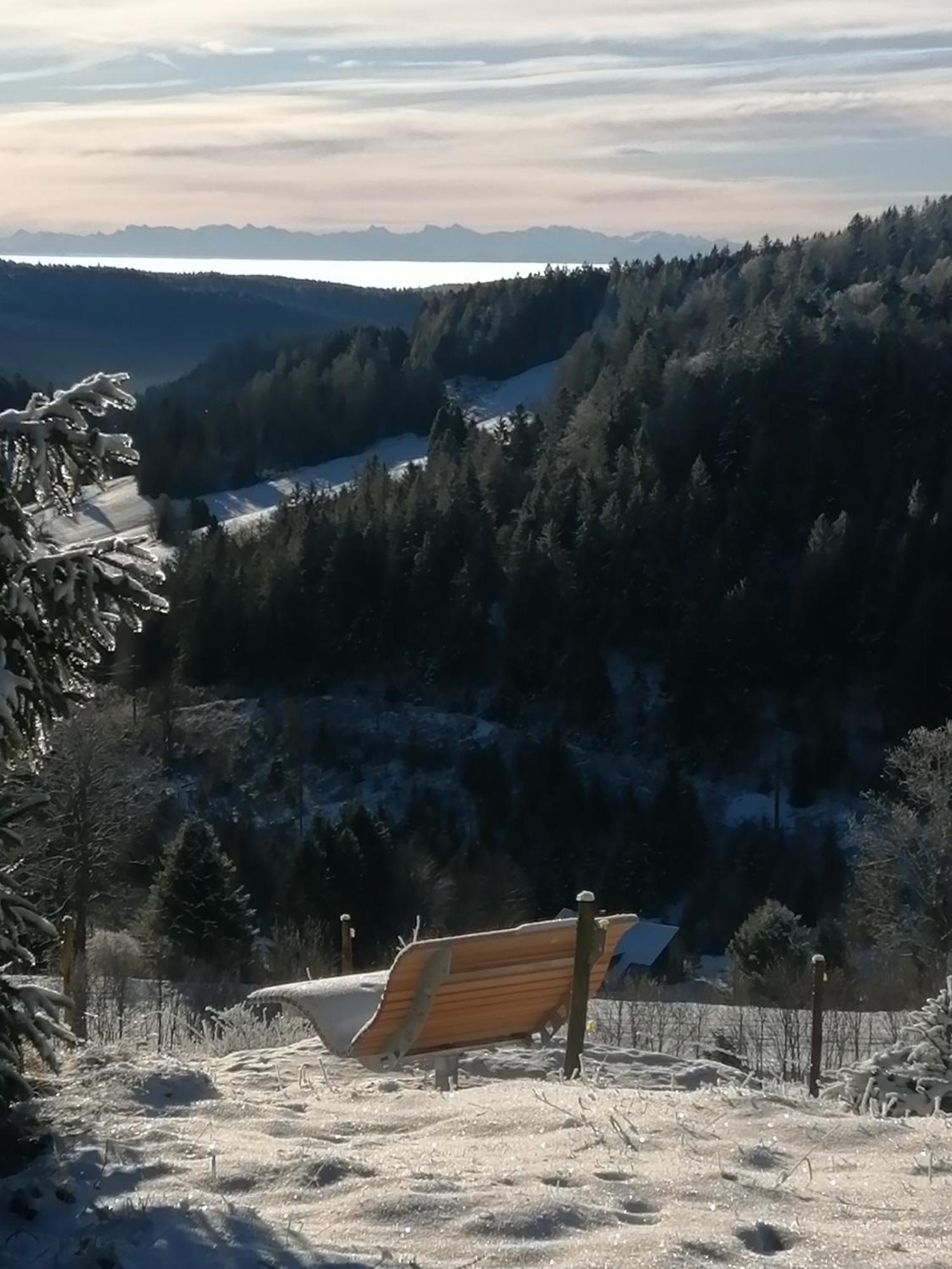 Hotel am Kurpark Todtmoos Bagian luar foto