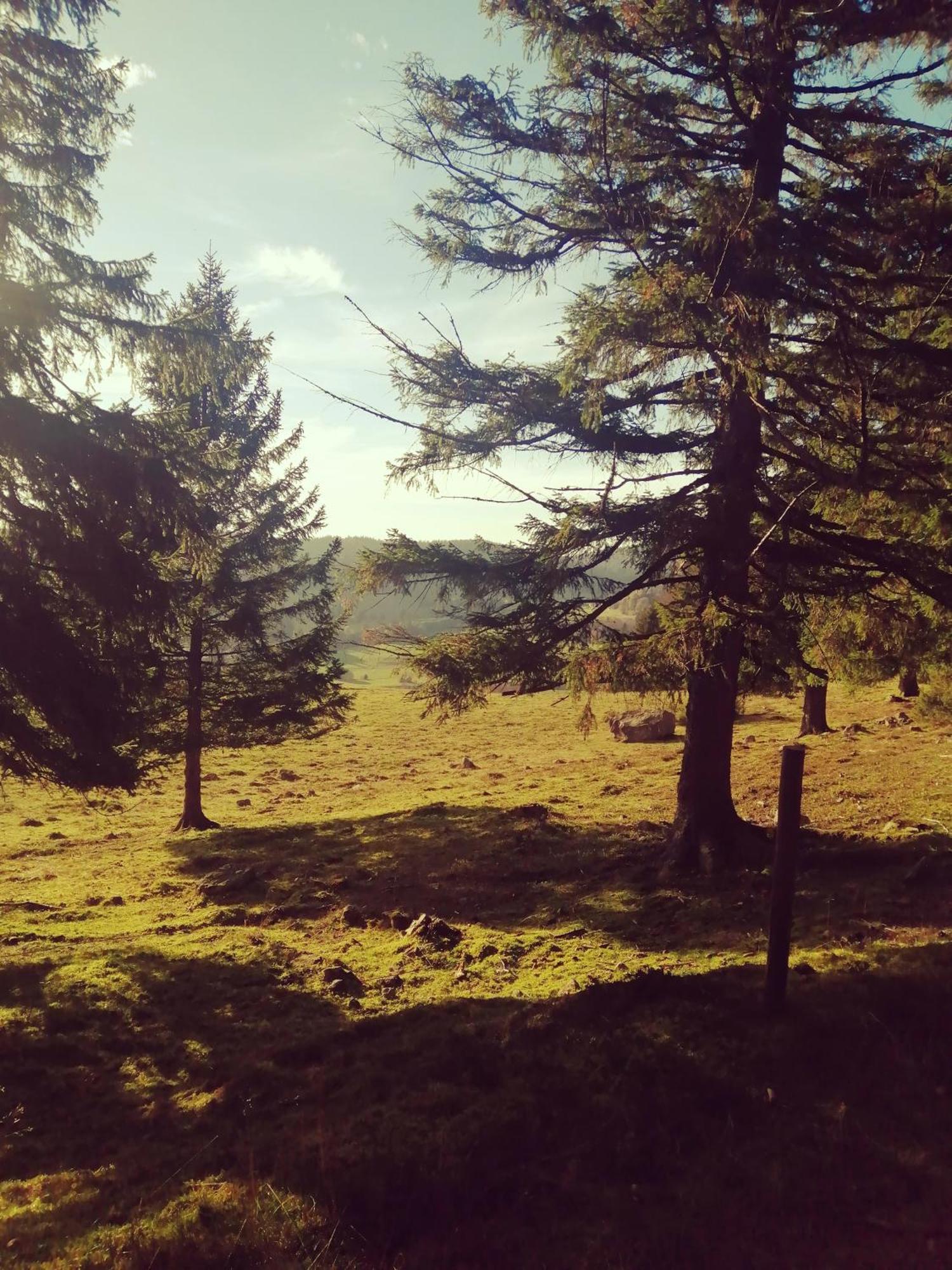 Hotel am Kurpark Todtmoos Bagian luar foto